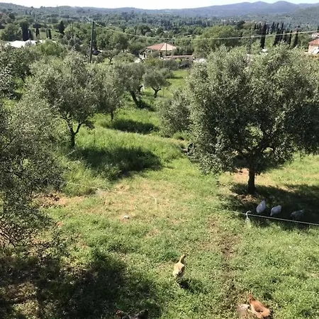 Holiday home Tonia Kopanaki